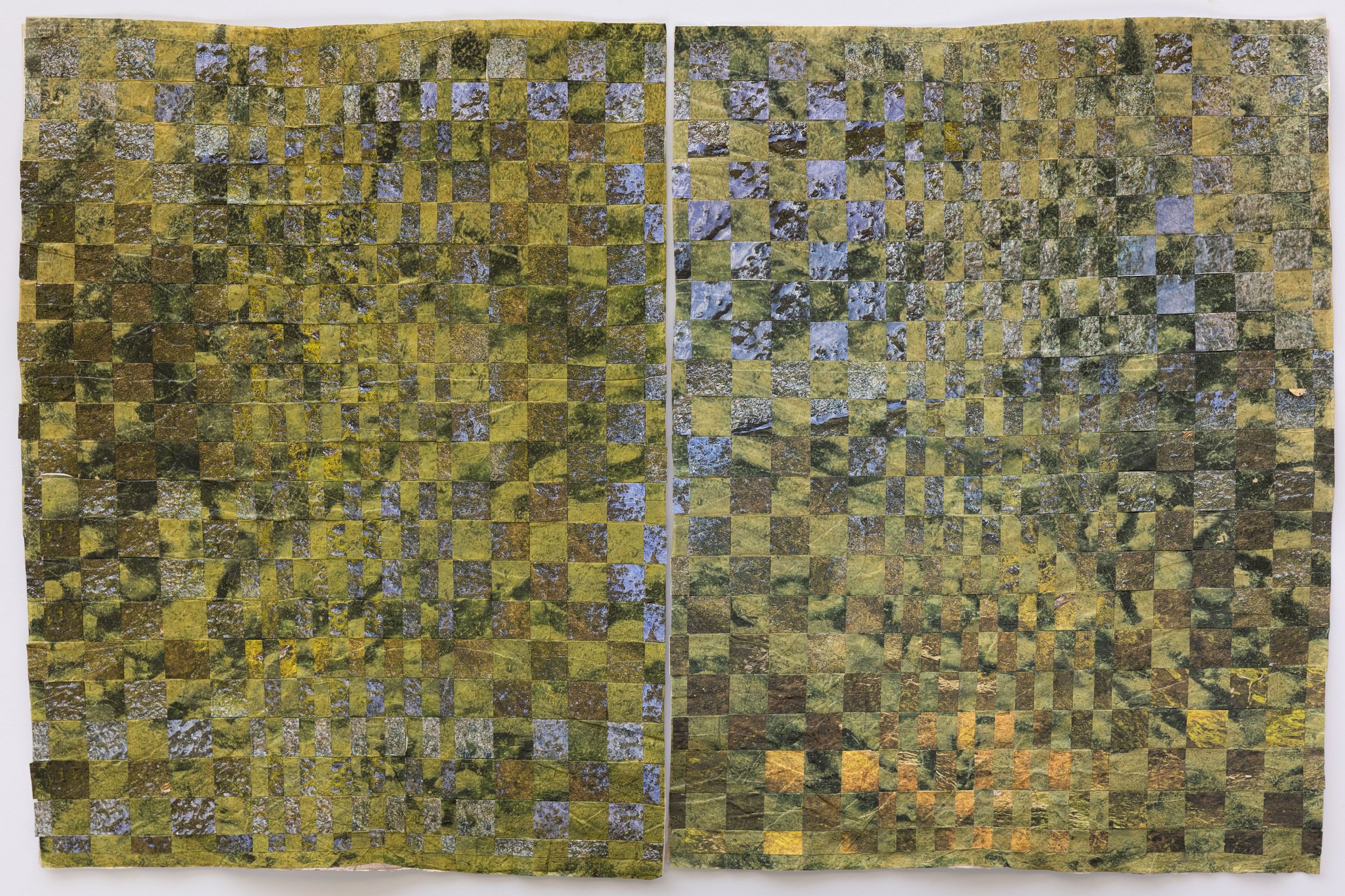 Frailties and Certainties of Lichen