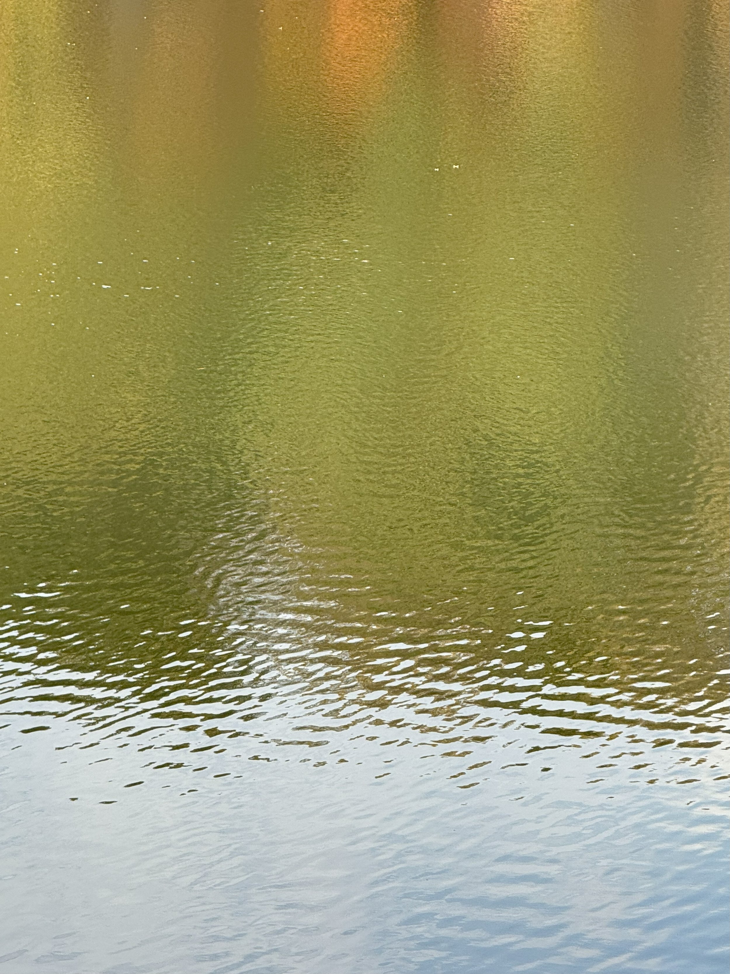 Reflection Illusion 10-24-2025
