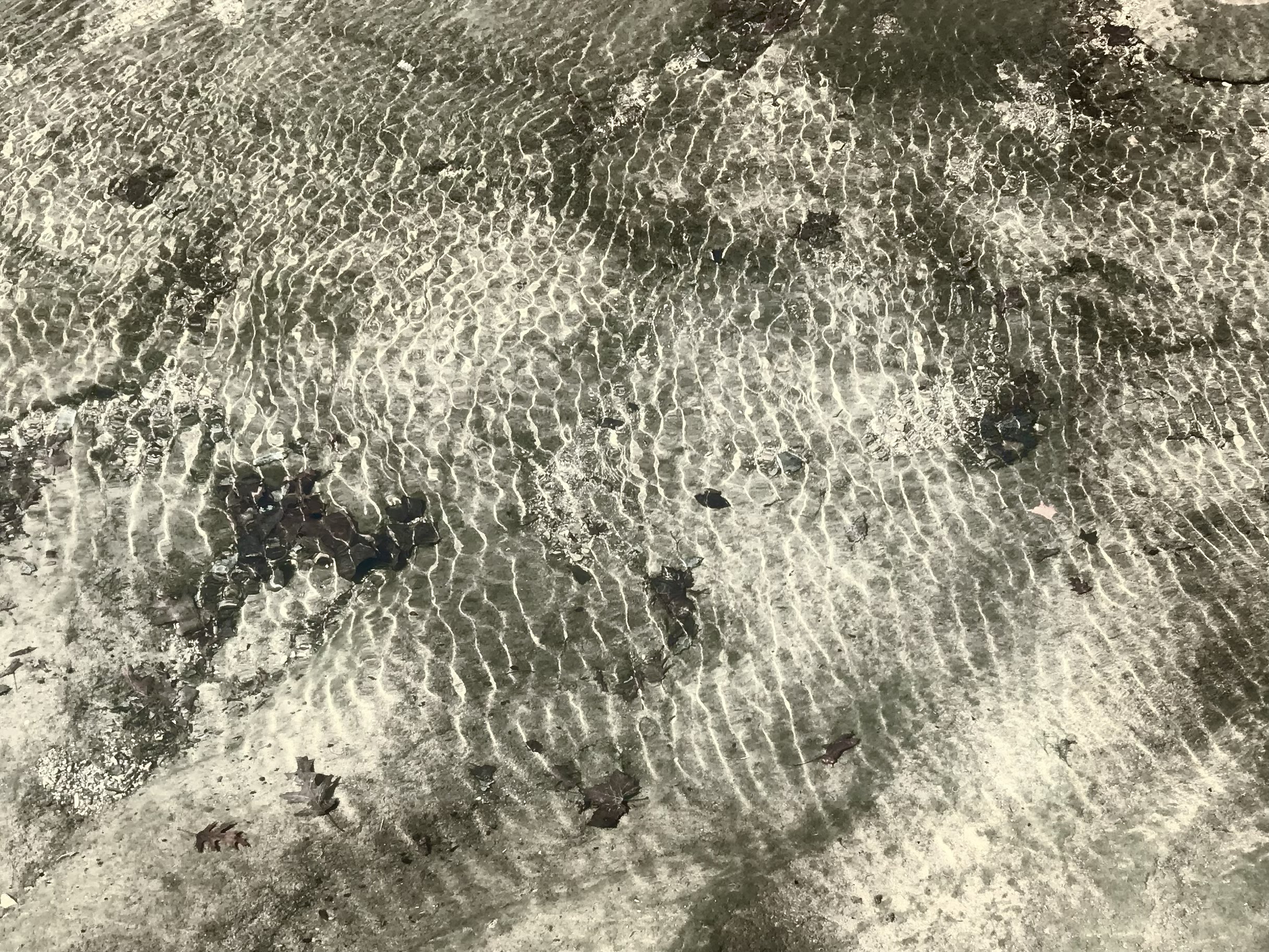 Untitled 3-30-2024