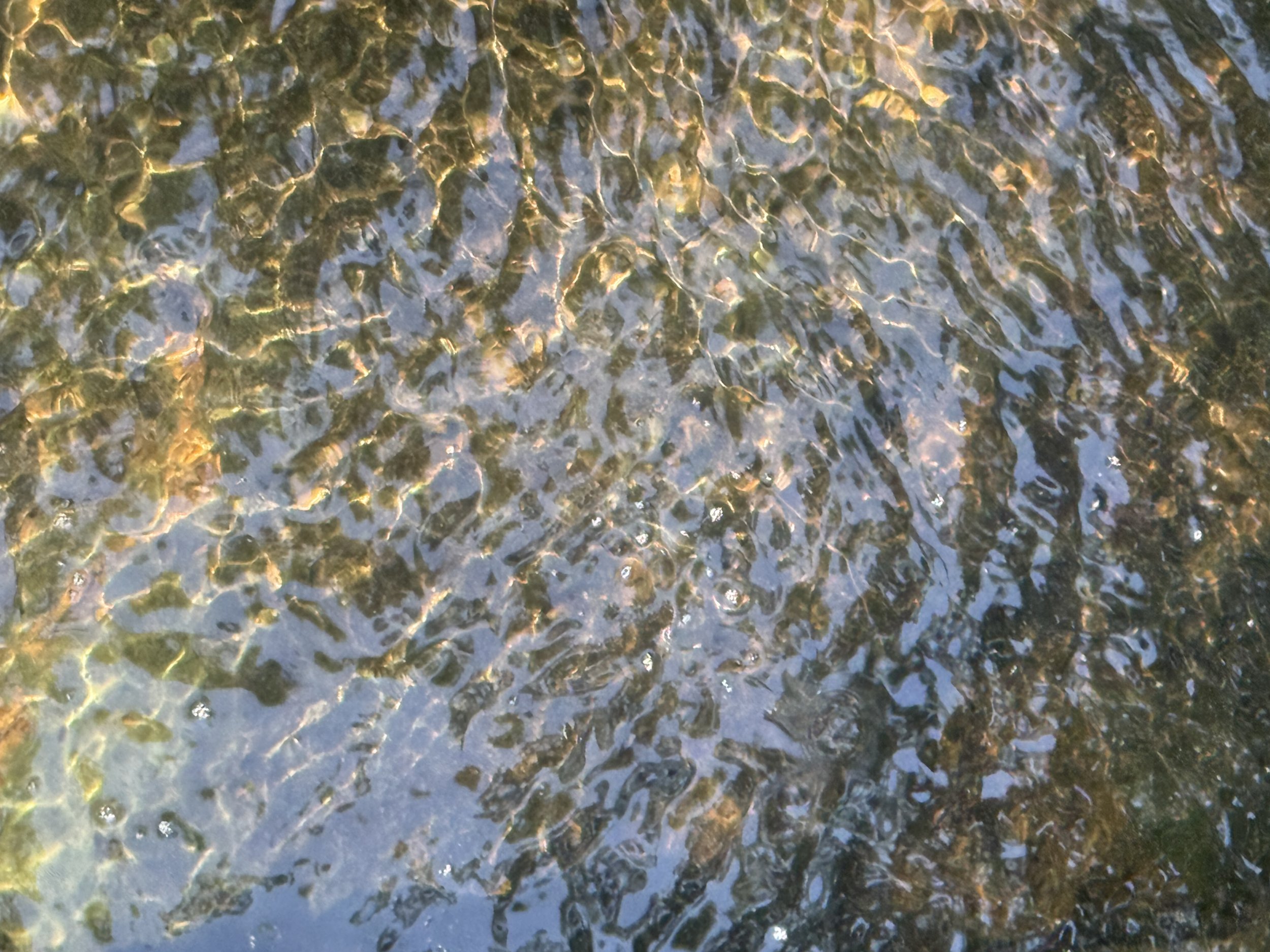 Untitled 8-9-2025-2